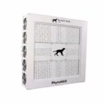 Black Dog LED