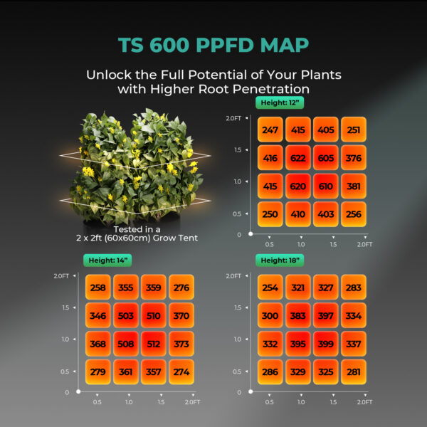 PPFD map Mars Hydro TS 600
