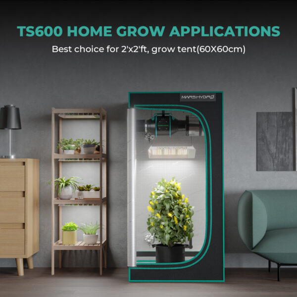 TS 600