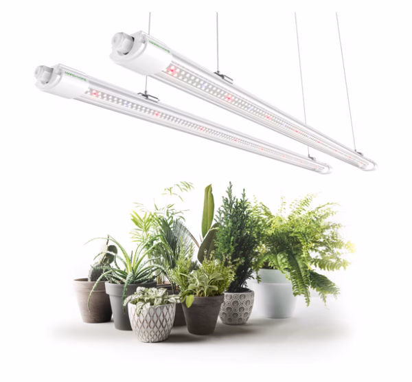 Mars Hydro VG80 Grow Lampe 80 Watt
