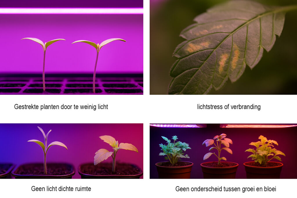 Veel voorkomende problemen bij planten