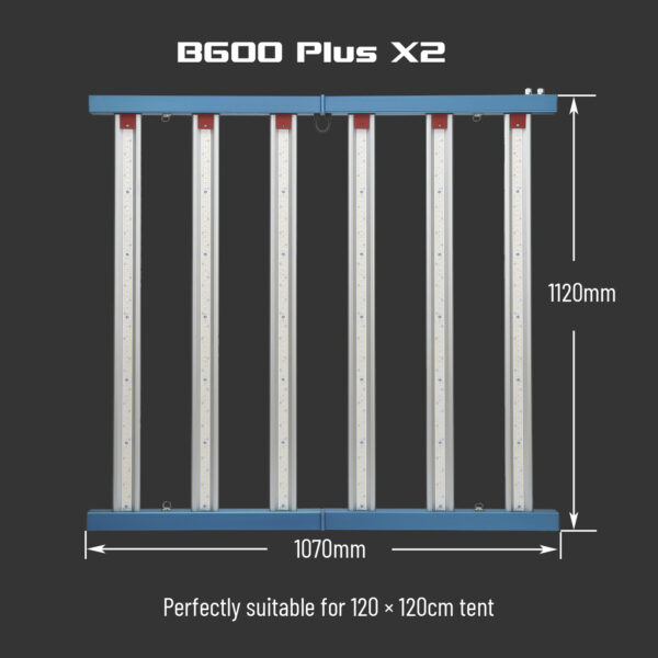 HortiSpectra B600-PLUS-X2_06