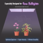 HortiSpectra QBLE 300