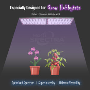 HortiSpectra QBLE 300